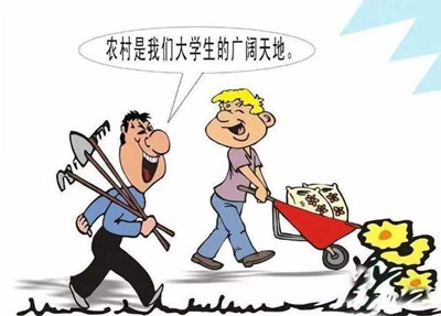 考公、考研難度高，應(yīng)屆生你還有4種選擇